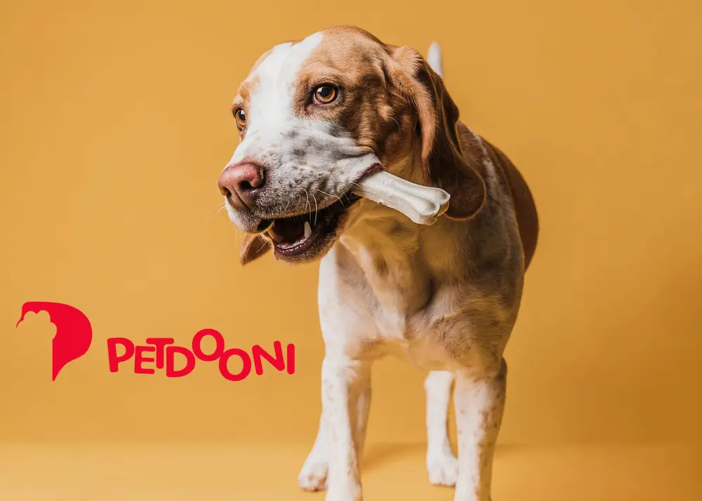 مشکلات شایع دندانی سگ ها در نژاد های خاص و مختلف | راهنمای جامع بهداشت و مراقبت دندان سگ ها در پت شاپ آنلاین پت دونی 1404